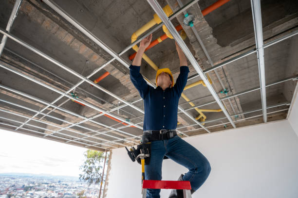 Best Leak Detection Services  in Boulder, CO