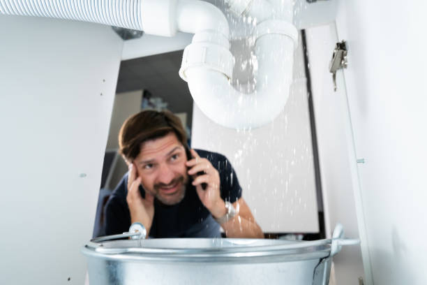 Best Sprinkler Systems  in Boulder, CO